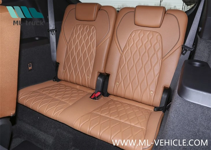 BYD Tang Champion Edition DMI
