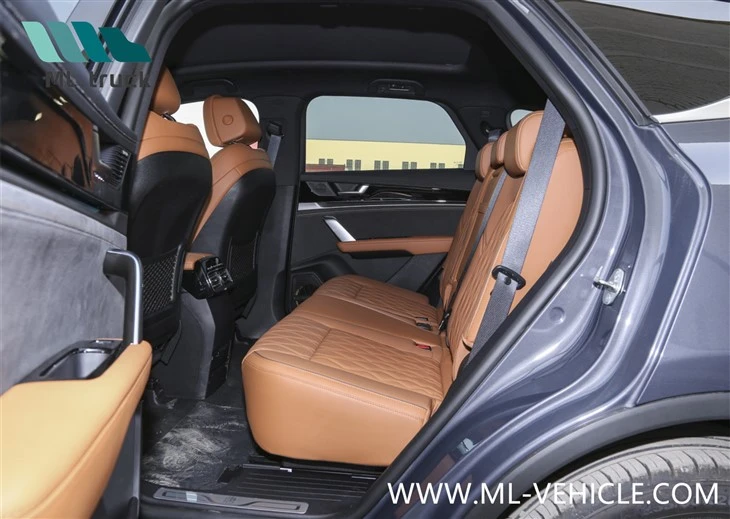 BYD Tang Champion Edition DMI