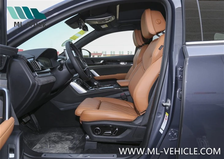 BYD Tang Champion Edition DMI