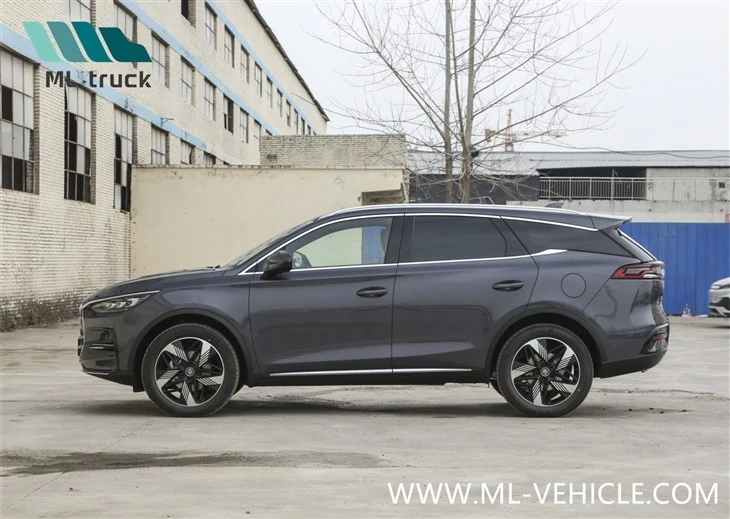 BYD Tang Champion Edition DMI