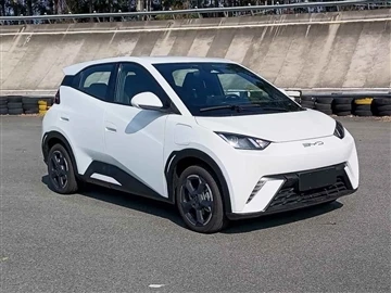 BYD Gavina