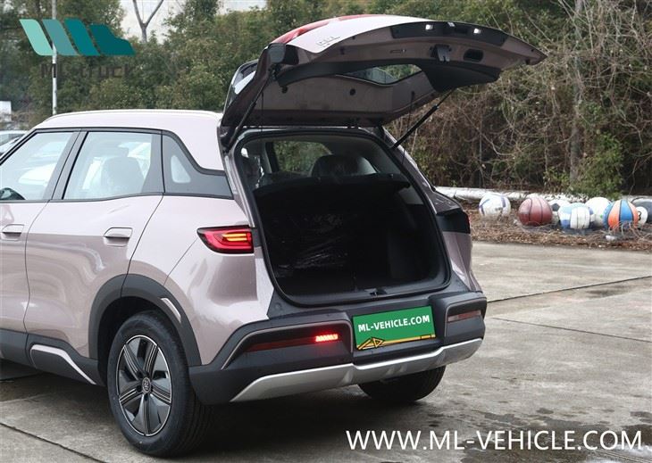 2024 BYD Yuan UP EV SUV